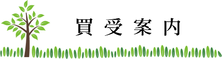 買受案内